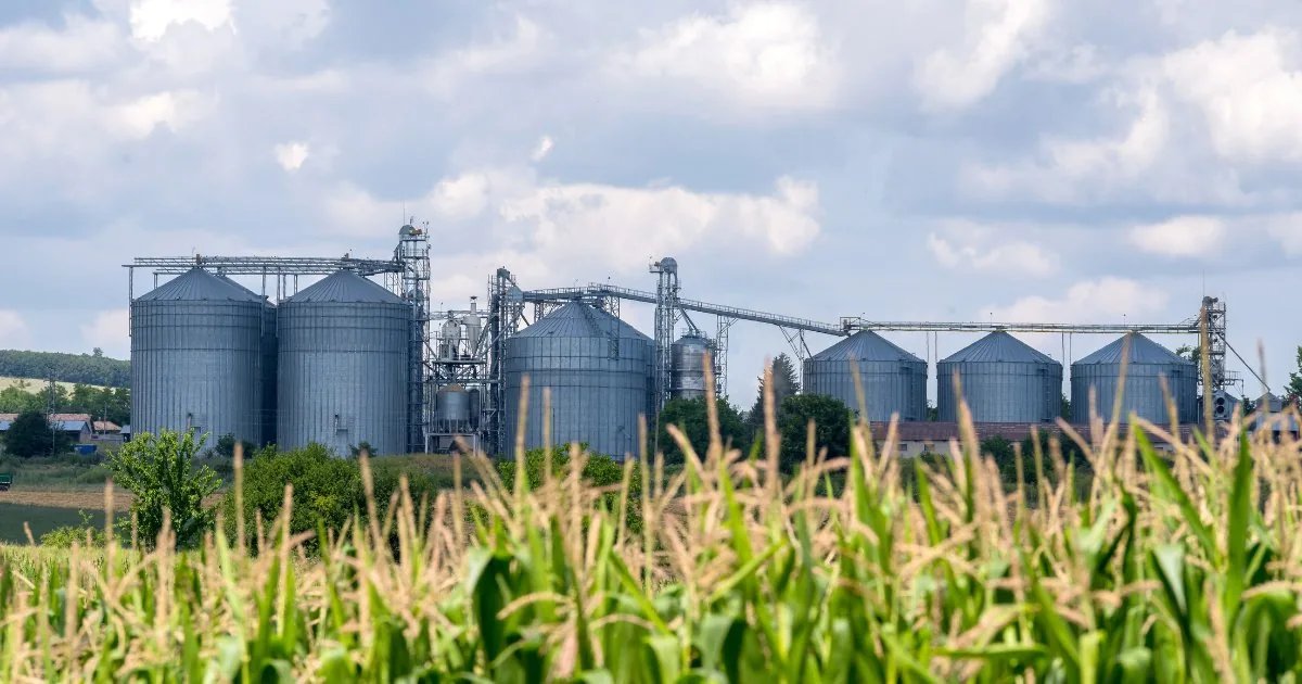 Silos à grain au coucher de soleil dans un champ agricole — installations type des projets agricoles livrés par CFI Industrie au Québec